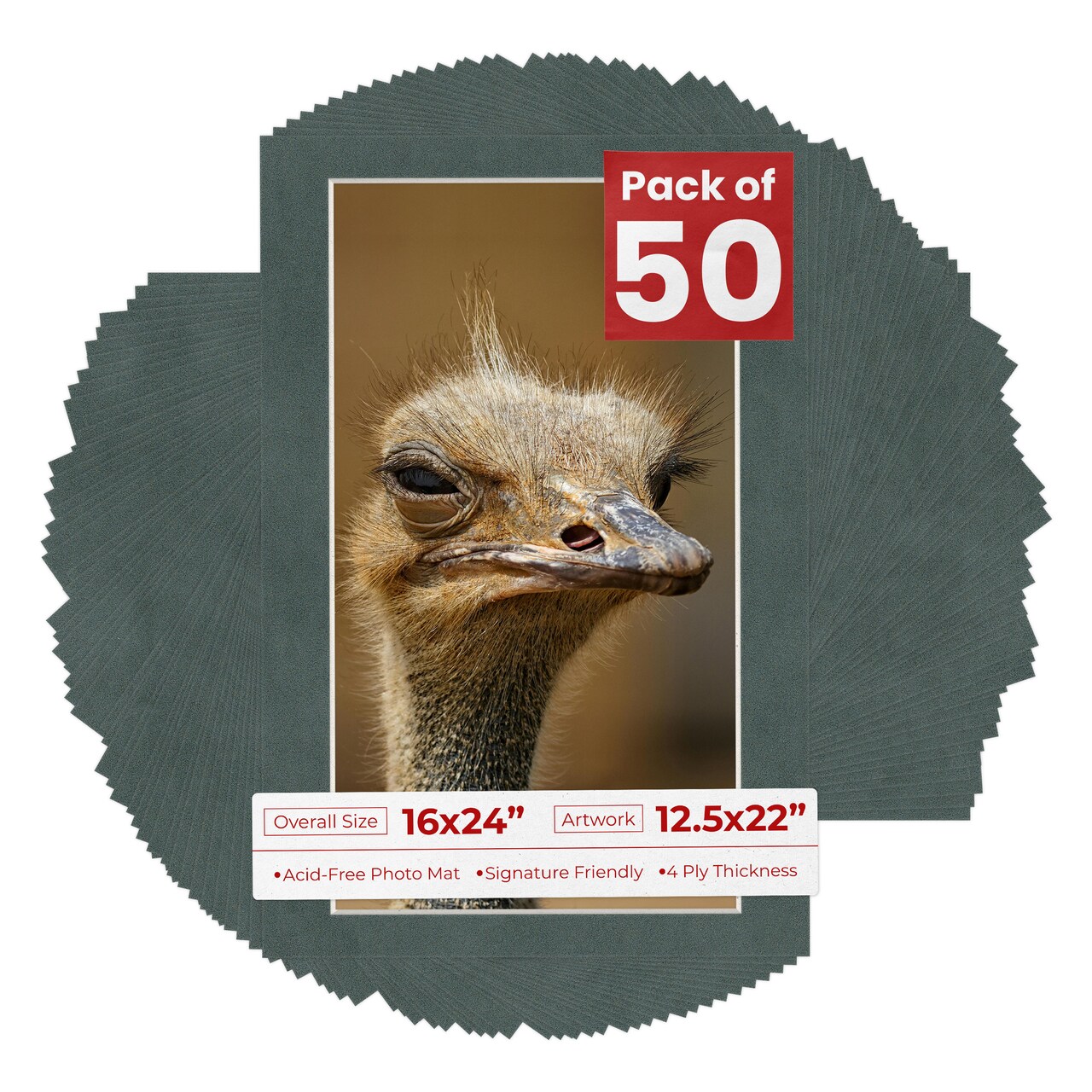 Dark Grey Suede Mat Board for 16x24 Frames - Fits 12.5x22 Photos